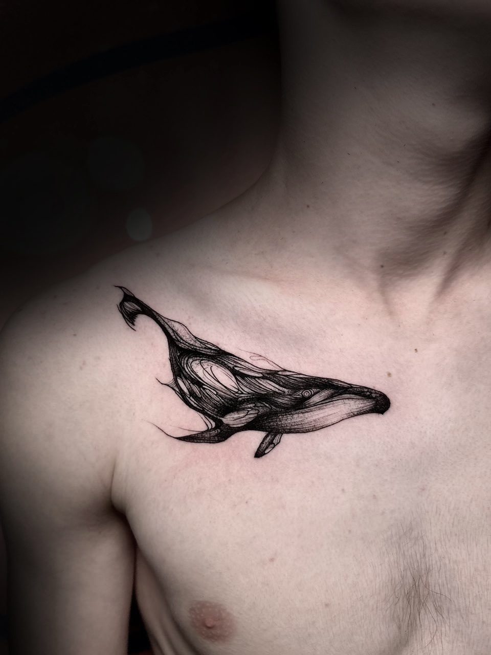 Интересное про особенности, рисунки и значение тату кит